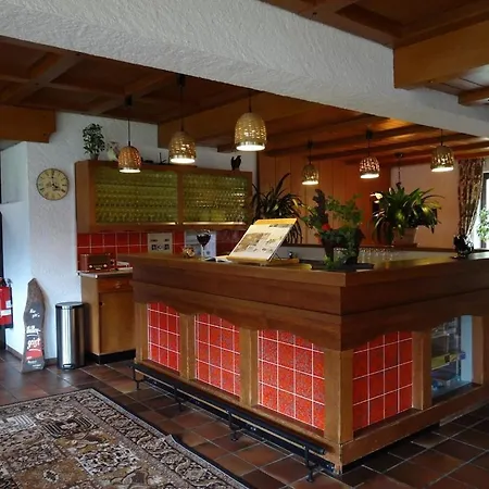 Hotel Alpenhotel Hinterstein Bei Waidmannsheil